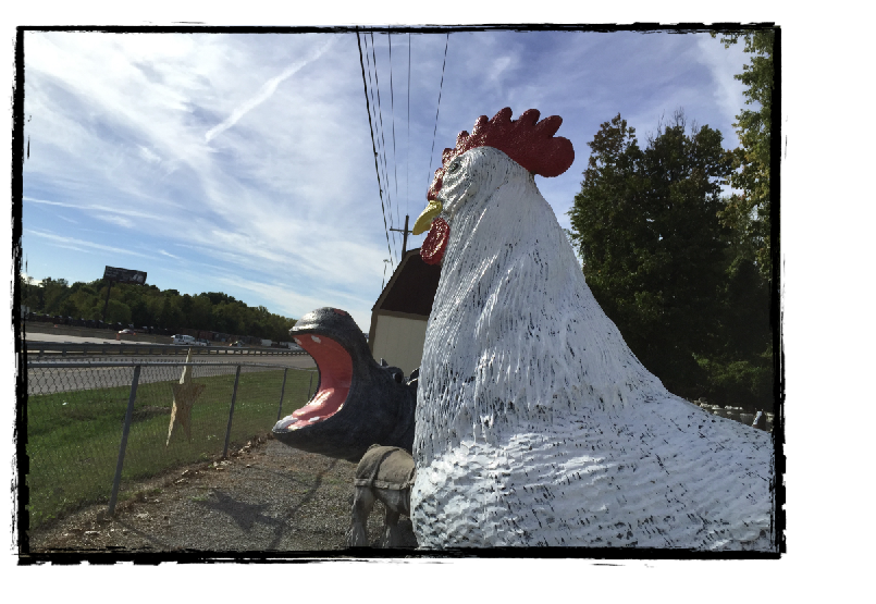 ConcreteLady_Hippo_Chicken